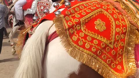 Indian culture horse dance