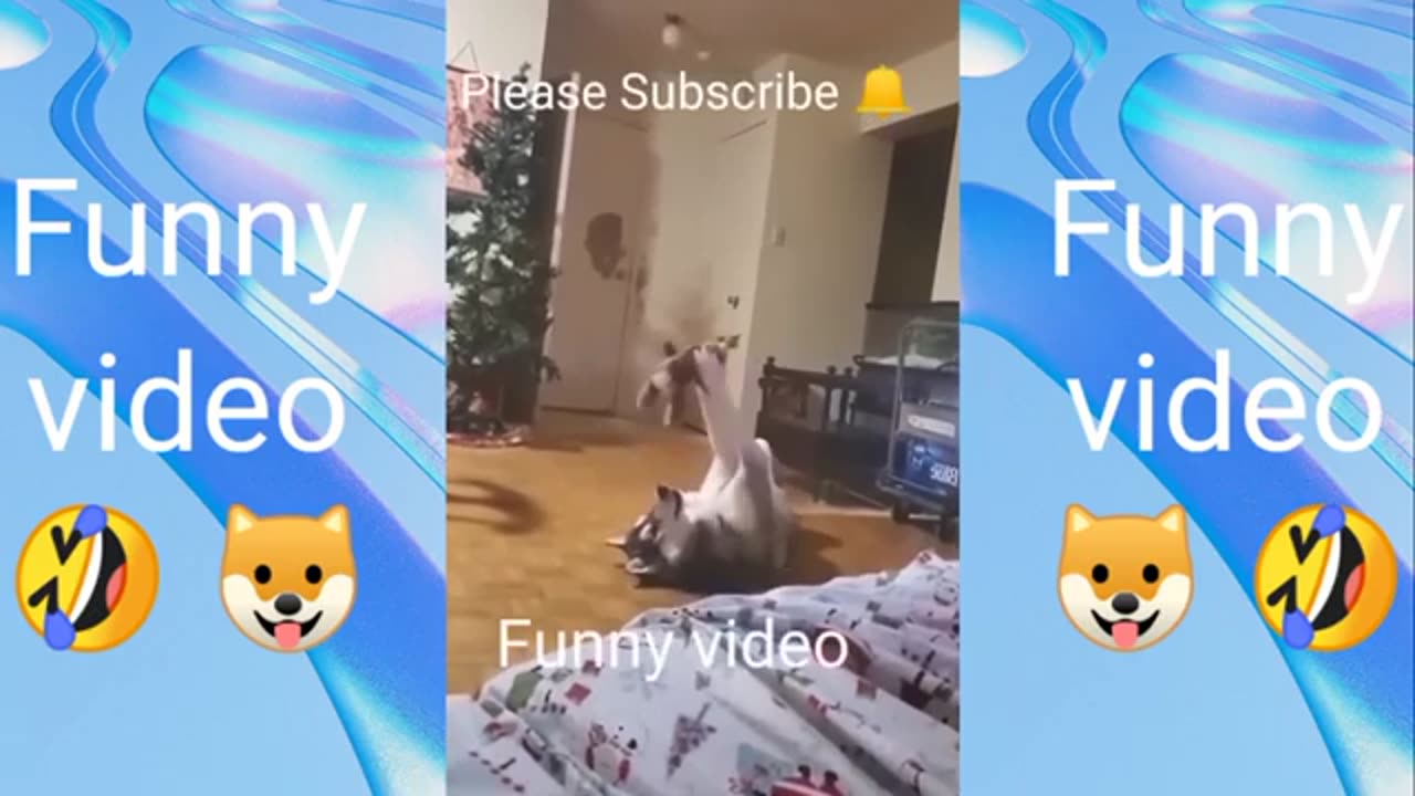 Funny video 3