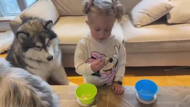 This Is What They Do When We Leave! Hidden Camera! (Cutest Ever!!)