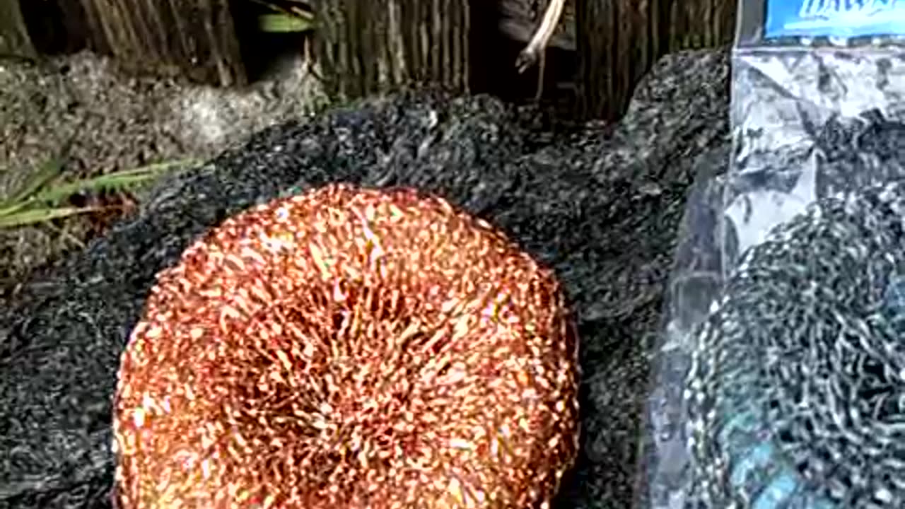 Pot Scrubber earth battery running a pulse motor
