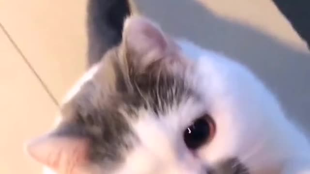 🥰🥰