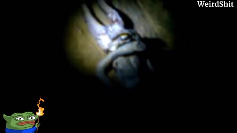 SHADOW FILES ~ NON-HUMAN BIOLOGICAL REMAINS FOUND IN A PERUVIAN CAVE