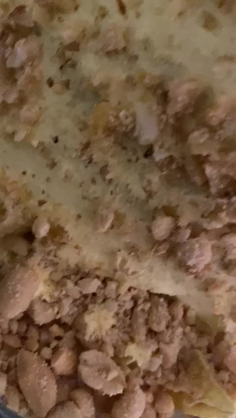 Premium Cato Template