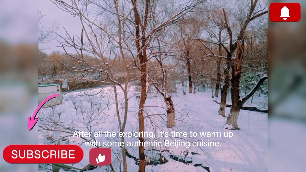 A Snowy Adventure of Beijing China with me #viral #music #viralvideo #shortvideo