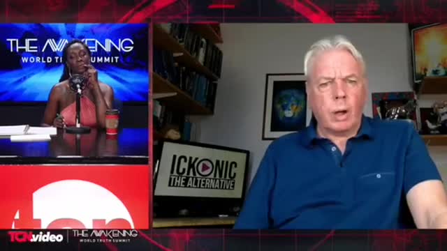 David Icke At World Truth Summit
