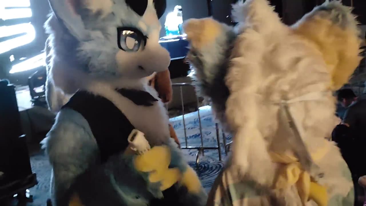Furry Douyin #15