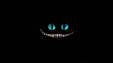 Black cat gif video