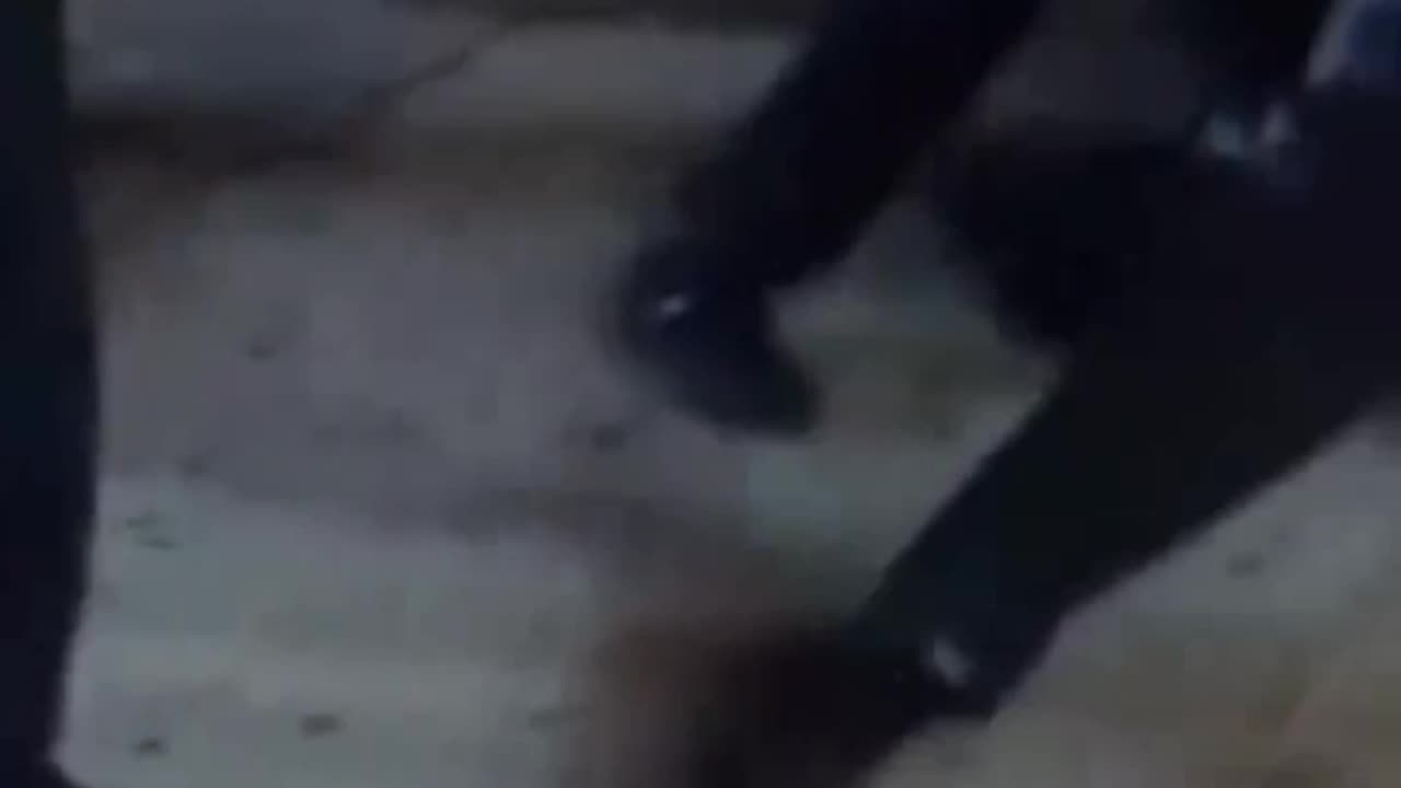 Two men attempting to disrupt an investigation were arrested by the NYPD.