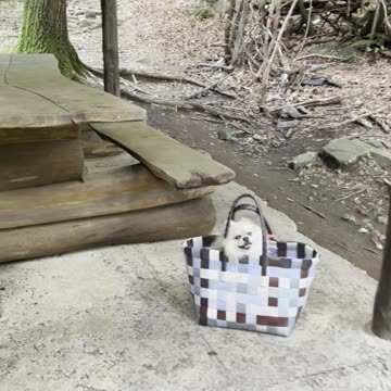 Geo Caching with Crypto Wallets