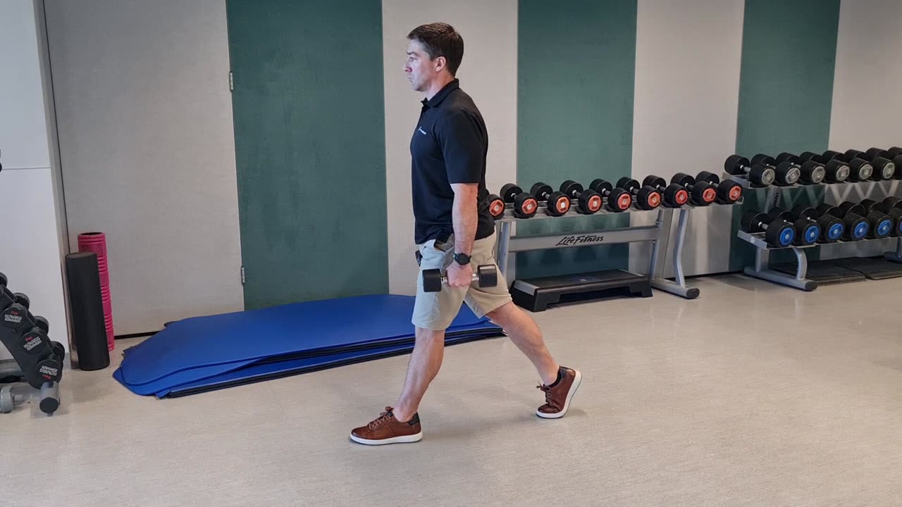 Lunges - Static