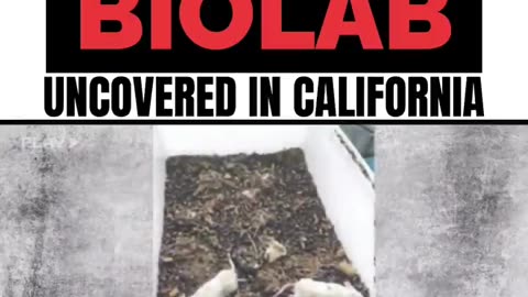 Illegal Chinese BIOLAB in Calironia