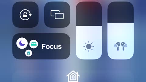 🎼🦁❤️❤️❤️❤️❤️🦁🎼