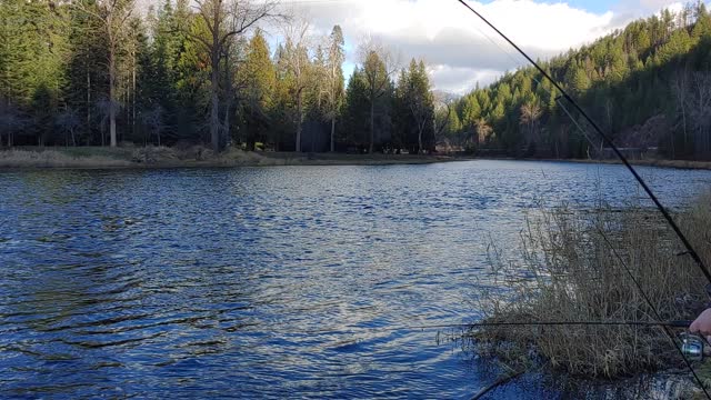 Cour D'Alene River Current