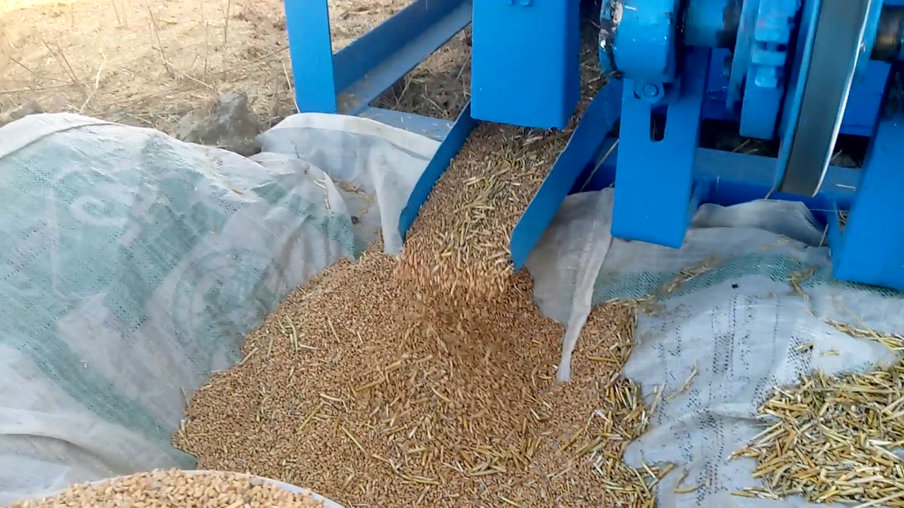 Pakistan Village Crops || Tharaysher Machine On