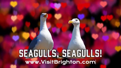 Be Right On In Brighton...