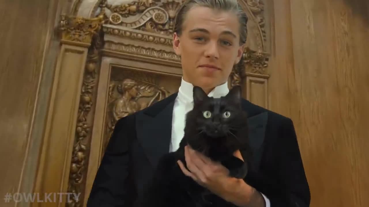 Titanic with a Cat