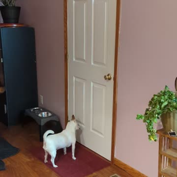 They Love My Nephew's