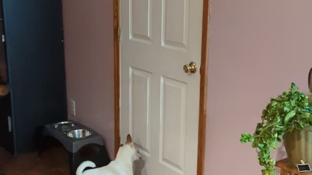 They Love My Nephew's