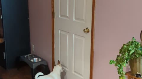 They Love My Nephew's