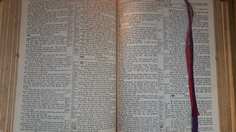 Amos 6