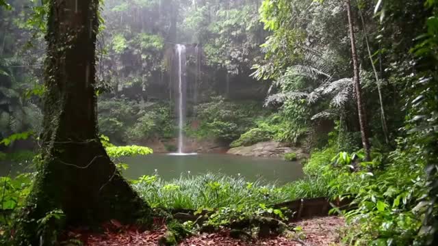 The Relaxing Sound of Rain