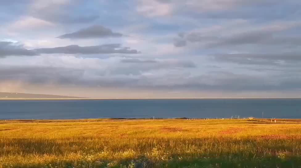 The wheat in my hometown is ripe and the blue lake water makes me think