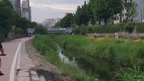 240527...4. 동네산책