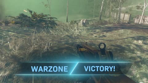 Call of duty Warzone 1v1