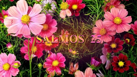 SALMOS 23, 24, 25.