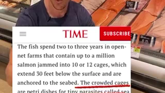 Must WATCH!👀 CHECK THIS OUT - THE COLOUR OF SALMON