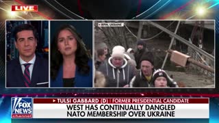 WATCH: Tulsi Gabbard Just Slammed the Globalist Elite