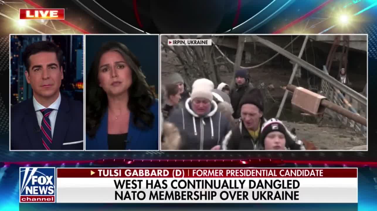 WATCH: Tulsi Gabbard Just Slammed the Globalist Elite