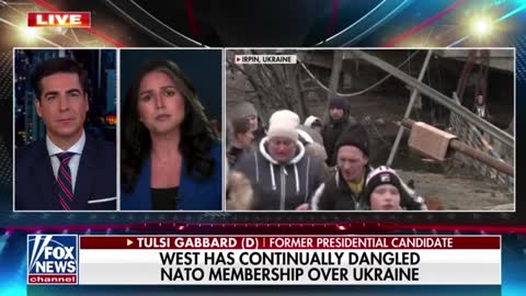 WATCH: Tulsi Gabbard Just Slammed the Globalist Elite