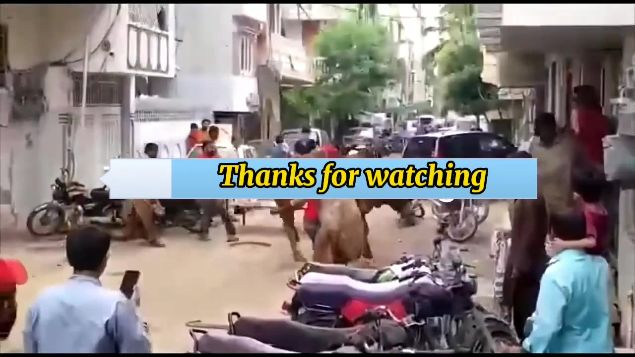 Eid ul Azha incidents