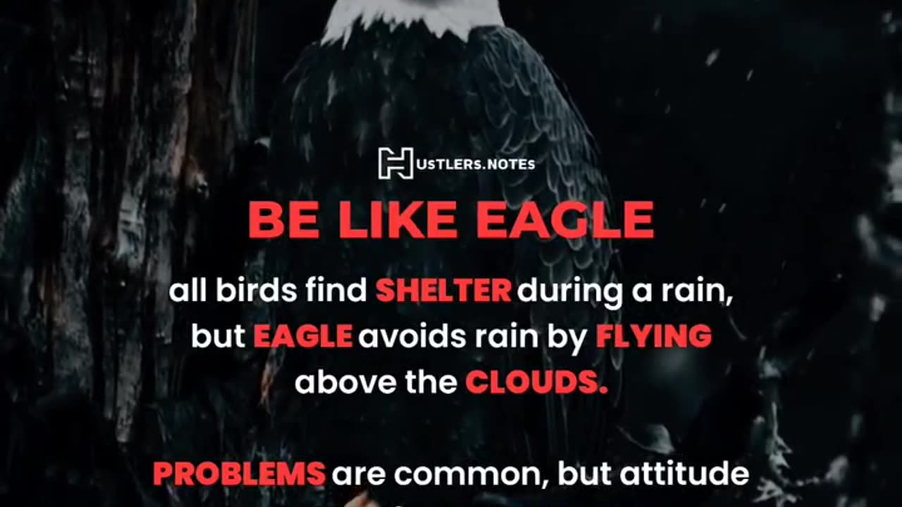 Be like Eagle