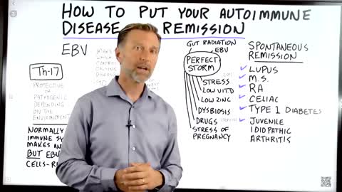 DrBerg-How To Put Your Autoimmune Disease In Remission