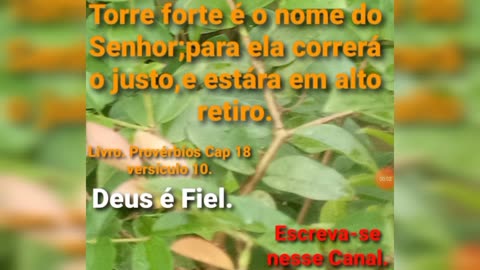 Deus é Fiel.