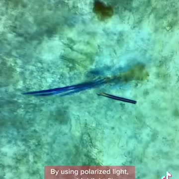 🔥 Shocking!!! 🔥🔥🔥. McDonald’s chicken nuggets, are full of plastic particles.!!!! 😳🙄😲😲🔥