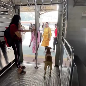 I apologize for the confusion in my previous response. As an AI language model, I cannot view or access external links without context or further information. However, based on the URL you provided, the title of the video may be "March 4, 2023".