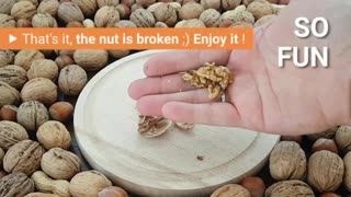 NutSmasher - A Magic, Fun, Fast, Safe & Effective Nutcracker
