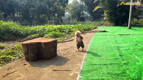 Lala obediently took the potatoes and cleaned up after herself!