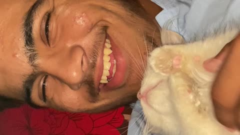 Cute cat