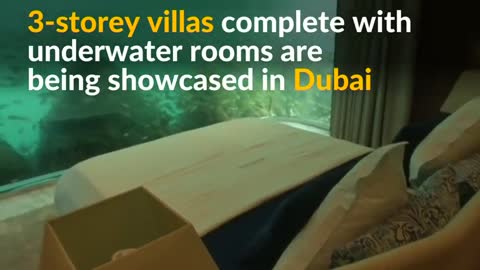 Dubai showcases floating Seahorse homes