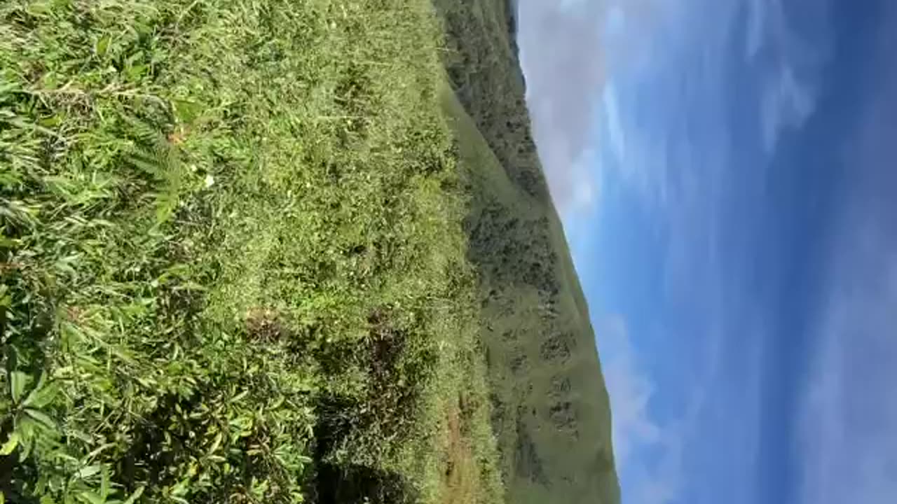 Dzukou valley | kohima | nature view