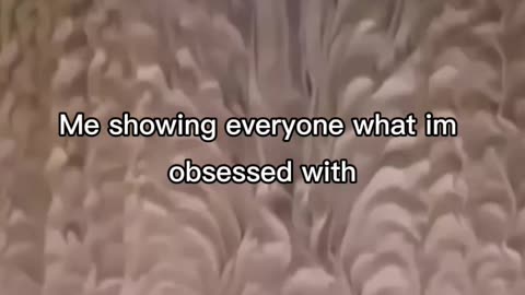 Lol so true