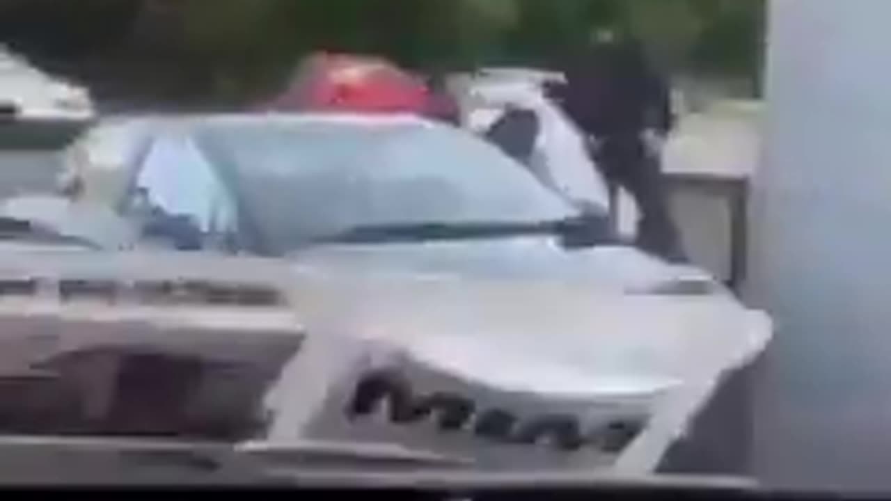 Ireland is not a safe country. A gang of foreigners attacking someone in Carlow