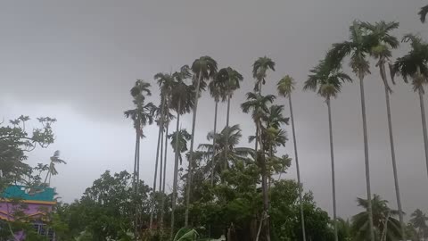 জৈষ্ঠ মাসে কালবৈশাখী ঝড় 🌪️