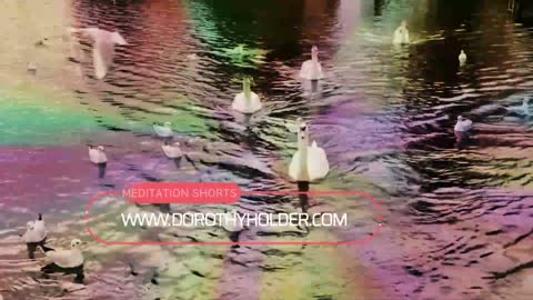 Meditation Short: Flow