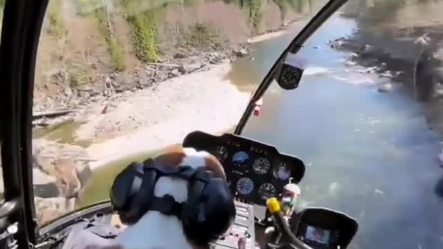 Dog in helecopter 😳