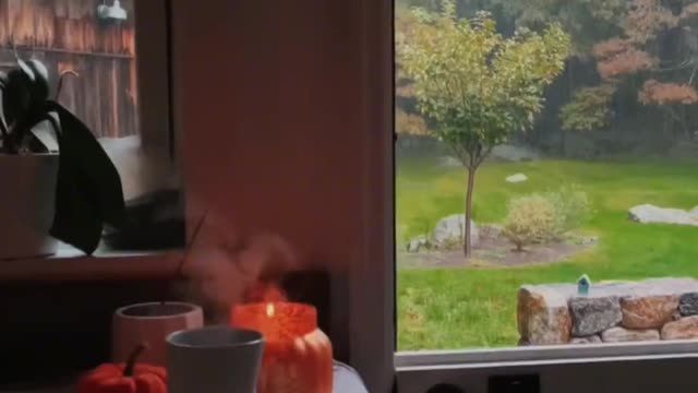 It's a pleasure to watch the rain in such an atmosphere